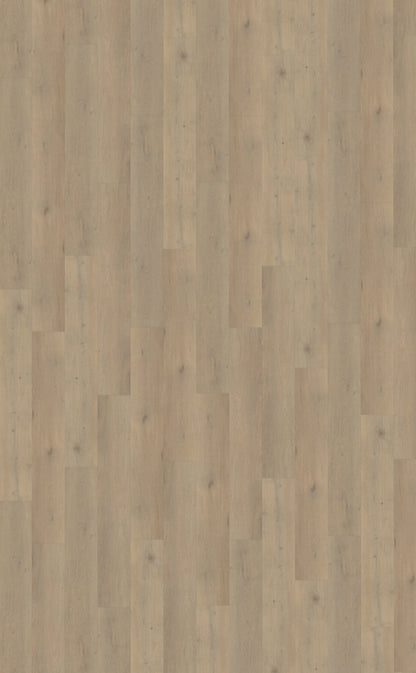 Belakos Attico 860 | Rigid Click | Bruin