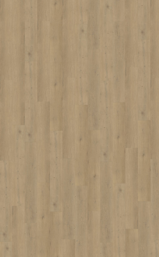 Belakos Attico 870 | Rigid Click | Bruin