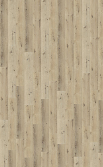 Belakos Palazzo 150 | Bruin