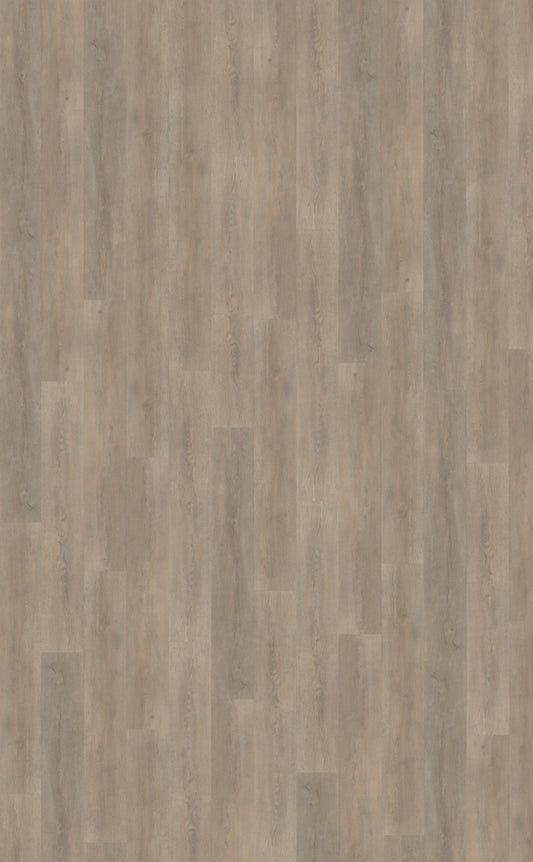 Belakos Palazzo 700 | Bruin