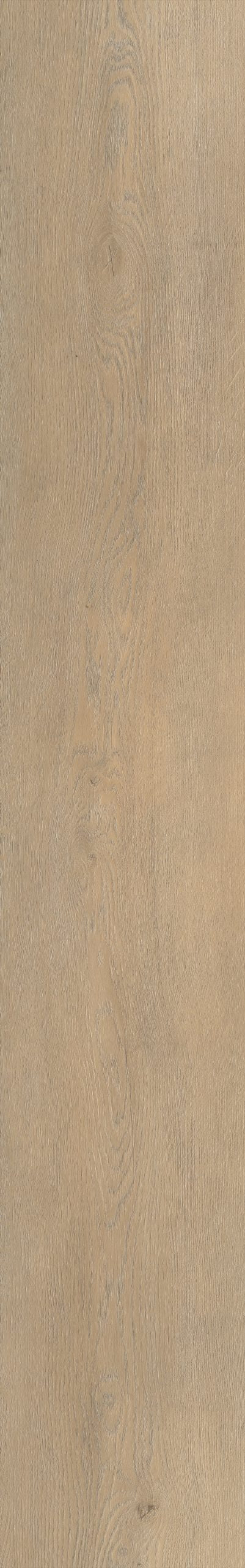 Belakos Palazzo 710 | Rigid Click | Bruin