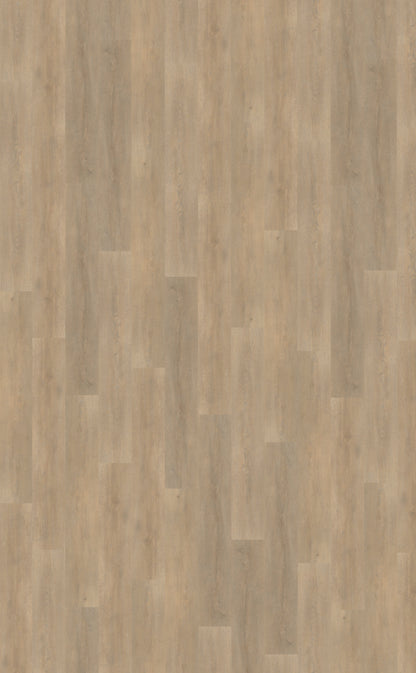 Belakos Palazzo 710 | Rigid Click | Bruin