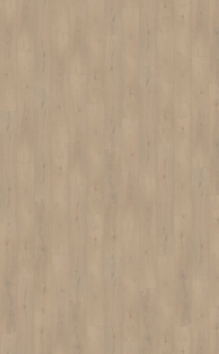 Belakos Palazzo 740 | Bruin