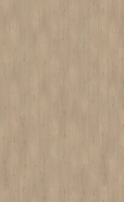 Belakos Palazzo 740 | Bruin