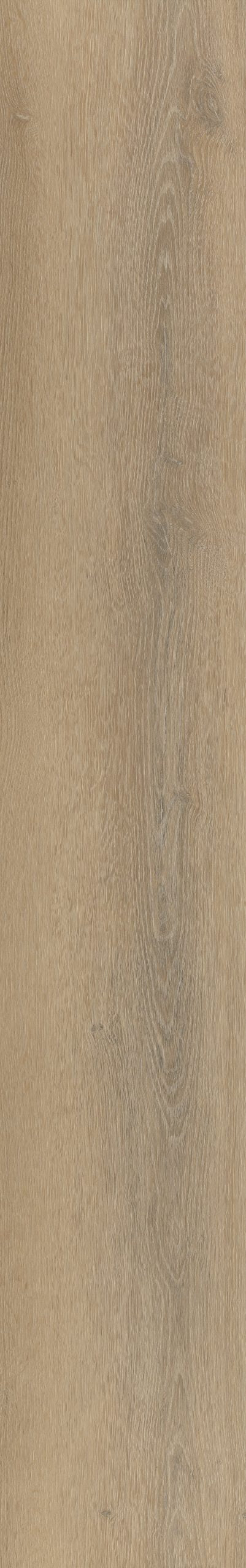 Belakos Palazzo 760 | Rigid Click | Bruin