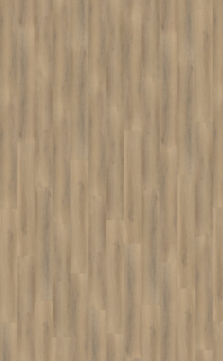 Belakos Palazzo 760 | Rigid Click | Bruin