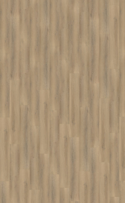 Belakos Palazzo 760 | Bruin