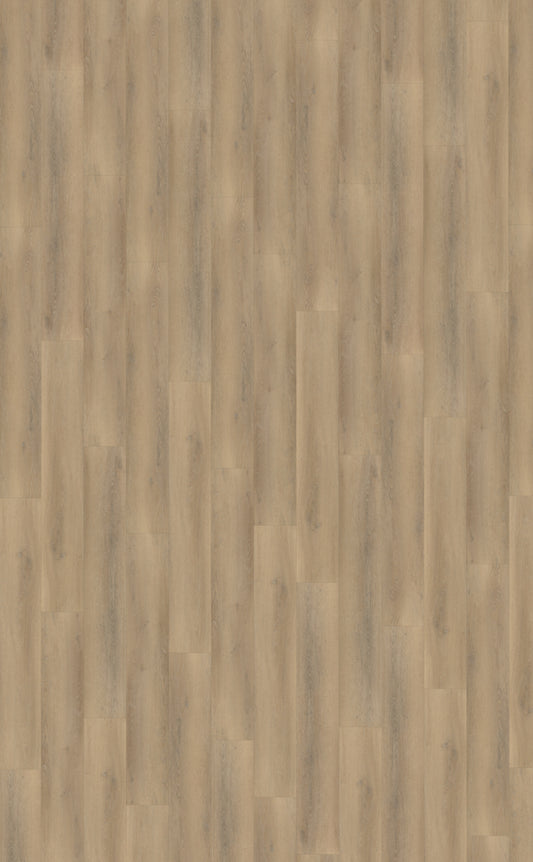 Belakos Palazzo 760 | Bruin