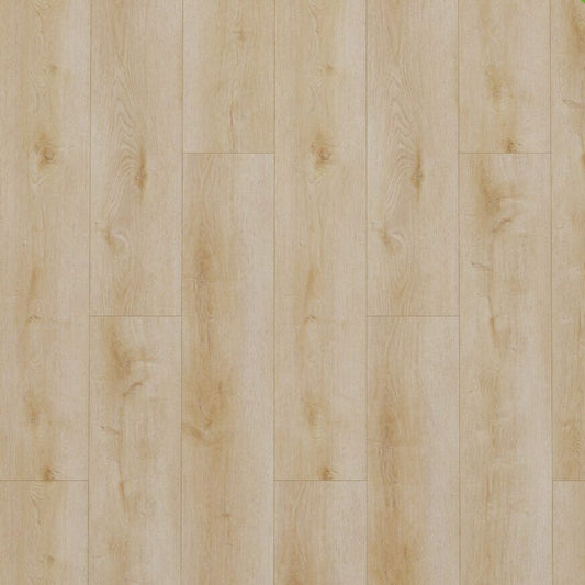 Gelasta Dynamic Natural Light