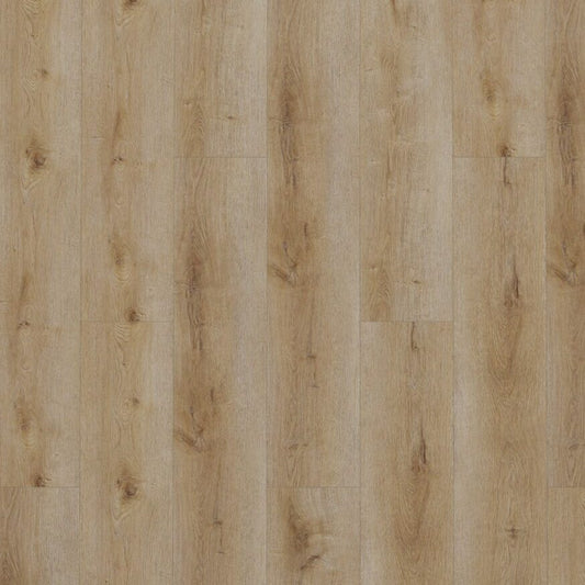 Gelasta Dynamic Natural Smoked