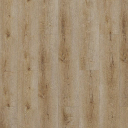 Gelasta Dynamic Klik Natural Smoked