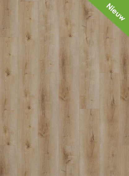 Gelasta Dynamic Natural Smoked