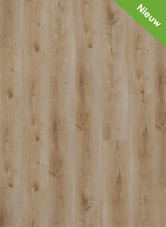 Gelasta Dynamic Natural Smoked