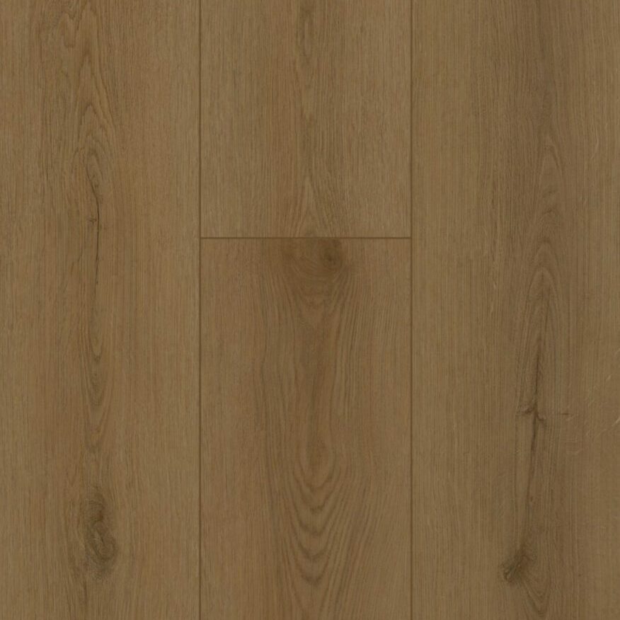 Gelasta Firmfit Sierra Brown