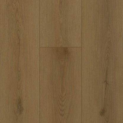 Gelasta Firmfit Silent Rigid Click Sierra Brown