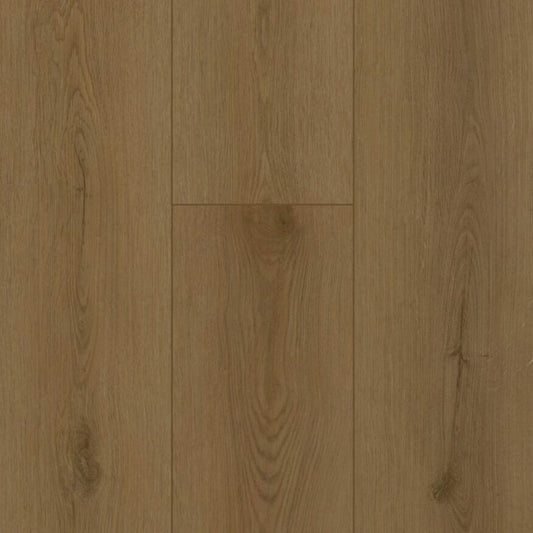 Gelasta Firmfit Silent Rigid Click Sierra Brown