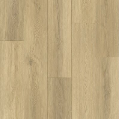 Gelasta Artline Register Beige