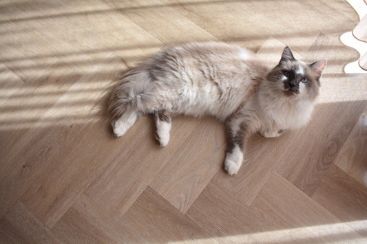 Ambiant Robusto Silent Rigid Click (Light Natural)