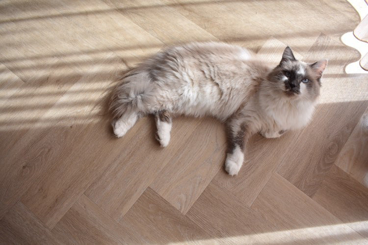 Ambiant Spigato Visgraat (Beige)