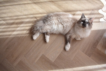 Ambiant Spigato Visgraat (Beige)