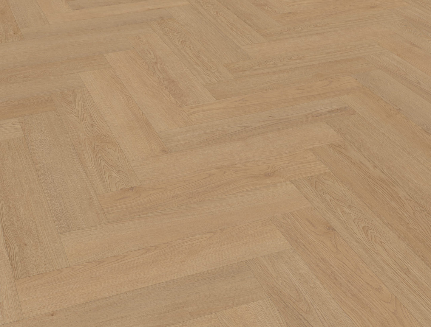 Belakos Monastro visgraat XL 93 | Bruin