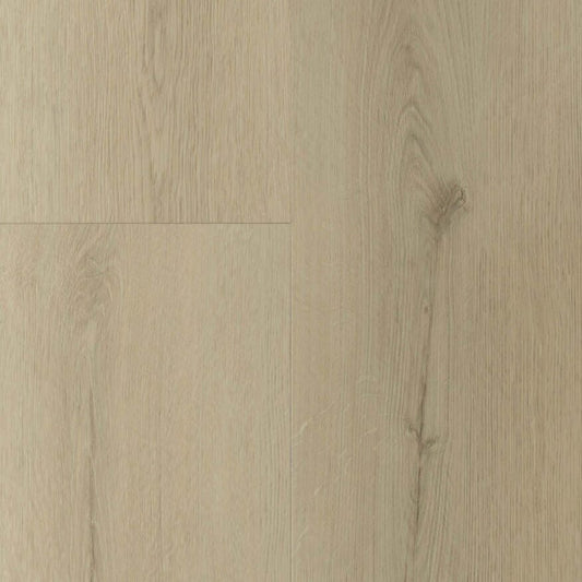 Gelasta Sierra Rigid Click Smoked