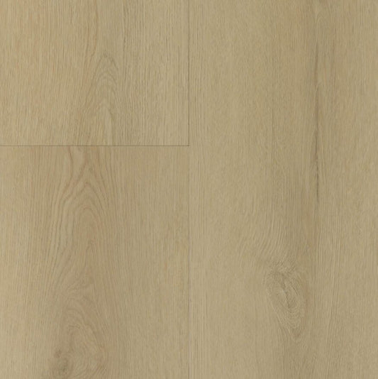 Gelasta Sierra Dryback Light