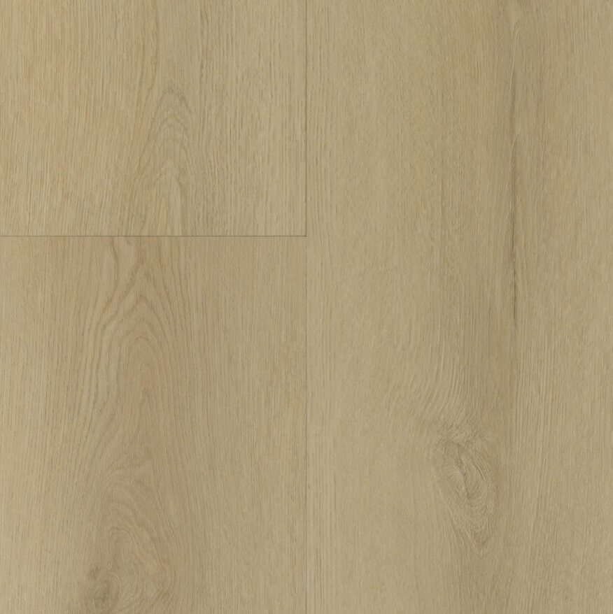 Gelasta Sierra Rigid Click Light 3002