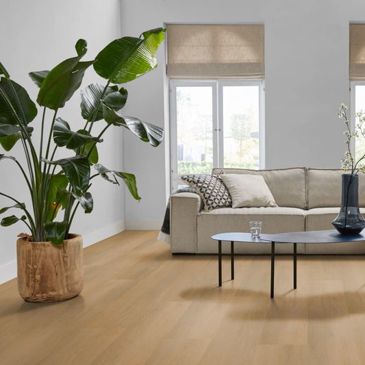 Ambiant Sentima klik (Dark Oak)